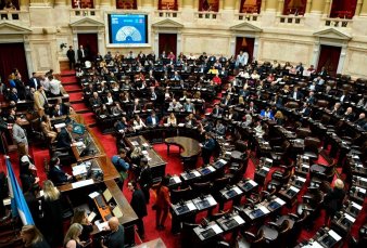 El proyecto de Ficha Limpia fue rechazado en el Senado y pierde estado parlamentario