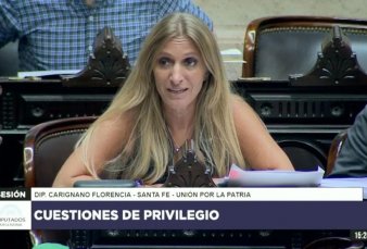 Carignano: 'Esto est lleno de gatos, vyanse todos, esto es un desastre'
