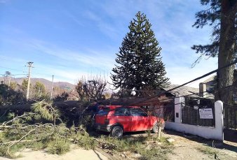 Rfagas superiores a los 120 km/h causaron daos y trastornos en Bariloche