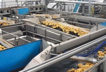 La nueva ruta de las papas fritas: de Mar del Plata directo a Brasil, tras una inversin millonaria