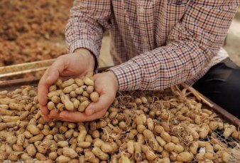 Argentina ya es el mayor exportador mundial de man: US$ 1.200 millones