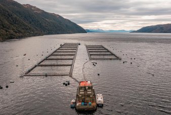 Polmica en Tierra del Fuego por un proyecto a favor de las salmoneras