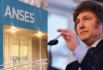 Milei prepara cambios en los planes sociales y la AUH: en lugar de dinero, capacitaci�n