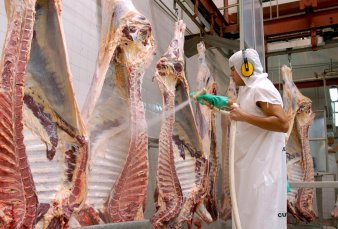Exportaciones de carne, las m�s altas en 15 a�os