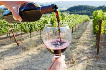 Grandes bodegas, en crisis financiera: alerta para un sector sobreendeudado