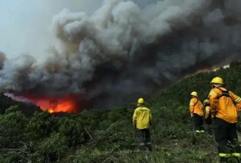 Los incendios en la Patagonia no dan tregua y varias provincias env�an brigadistas