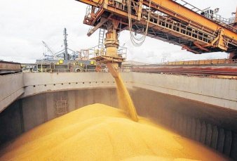 Reglamentan la baja de retenciones y reducen el diferencial arancelario del complejo soja
