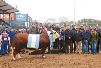 Exposición Rural. Dos cabañas cordobesas se llevaron los premios principales de Braford