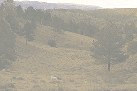 Gobierno de Cordoba "I love Cordoba"