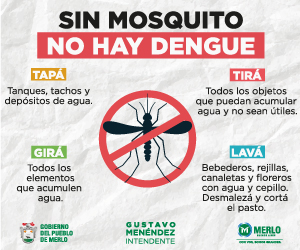 Municipalidad de Merlo (Dengue) enero a marzo
